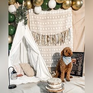 Birthday party decor